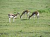 DSCN9826.JPG