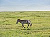DSCN9827.JPG