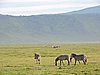 DSCN9832.JPG