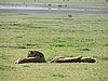 DSCN9834.JPG