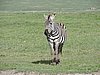DSCN9836.JPG