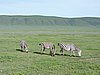 DSCN9838.JPG