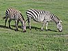 DSCN9841.JPG