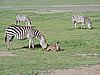 DSCN9843.JPG