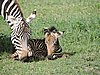 DSCN9846.JPG