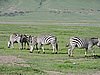 DSCN9847.JPG