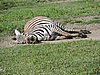 DSCN9851.JPG
