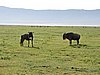 DSCN9853.JPG