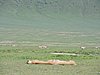 DSCN9854.JPG