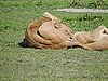 DSCN9858.JPG