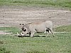 DSCN9862.JPG