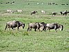 DSCN9868.JPG