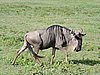 DSCN9875.JPG