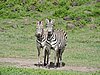 DSCN9877.JPG
