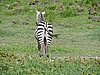 DSCN9878.JPG