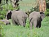 DSCN9884.JPG