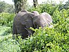 DSCN9885.JPG