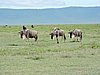 DSCN9893.JPG