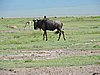 DSCN9894.JPG
