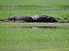 DSCN9897.JPG