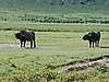 DSCN9901.JPG