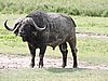 DSCN9902.JPG