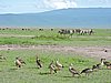 DSCN9904.JPG
