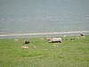 DSCN9920.JPG