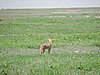 DSCN9921.JPG
