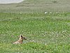 DSCN9924.JPG