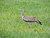 DSCN9938.JPG