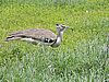 DSCN9939.JPG