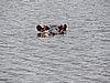 DSCN9954.JPG