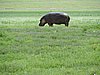 DSCN9960.JPG