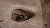 20200829_130020.jpg