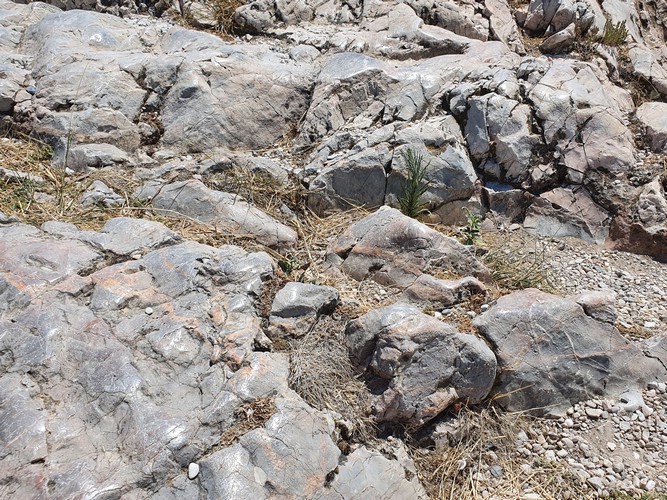 20200726_143126.jpg