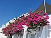 20200723_164457.jpg