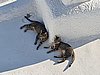 20200723_185226.jpg