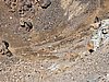 20200724_115612.jpg
