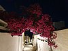 20200724_211837.jpg
