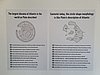 20200725_120354.jpg