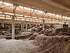 20200725_132908.jpg
