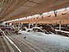 20200725_133244.jpg