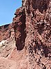 20200725_142848.jpg