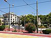 20200726_121300.jpg