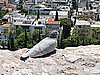 20200726_140447.jpg