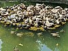 20200727_145742.jpg