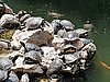 20200727_145752.jpg