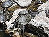 20200727_145945.jpg