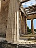 20200727_160706.jpg